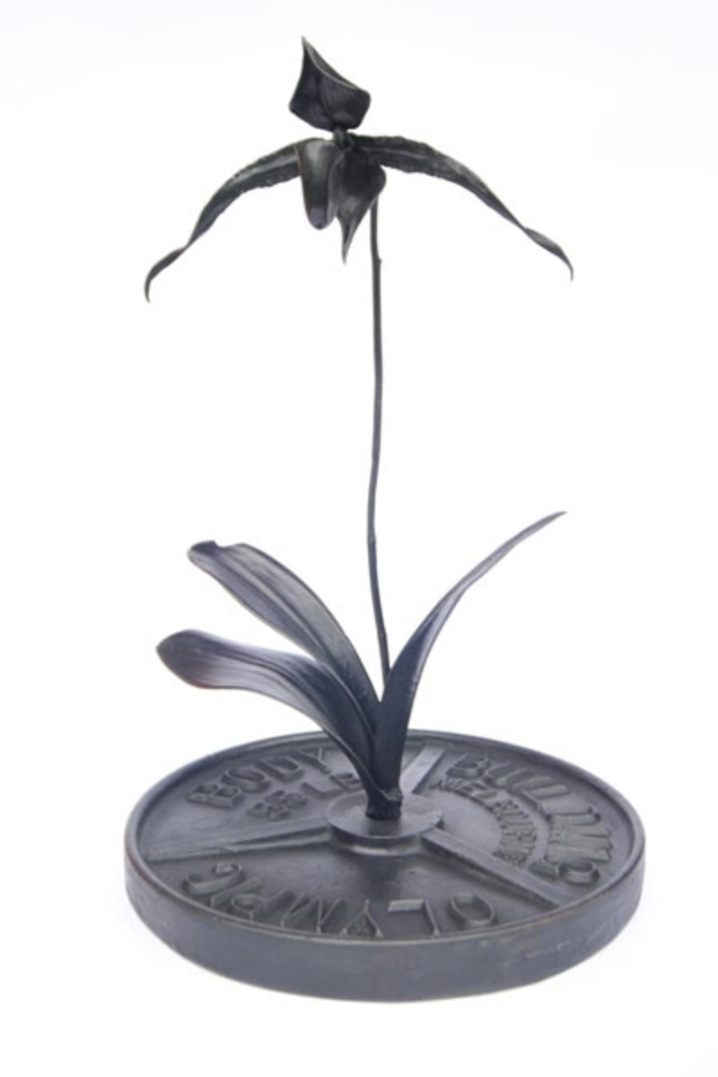 Black Orchid (Paphiopedilum Vanitas)