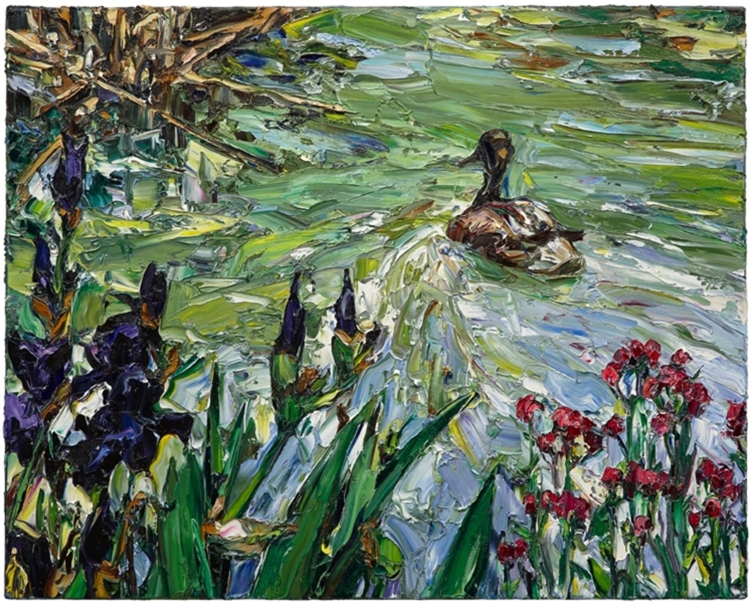 Paris pond (irises and duck)