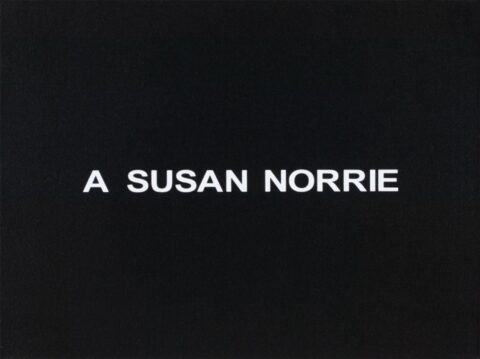 White Box: A Susan Norrie