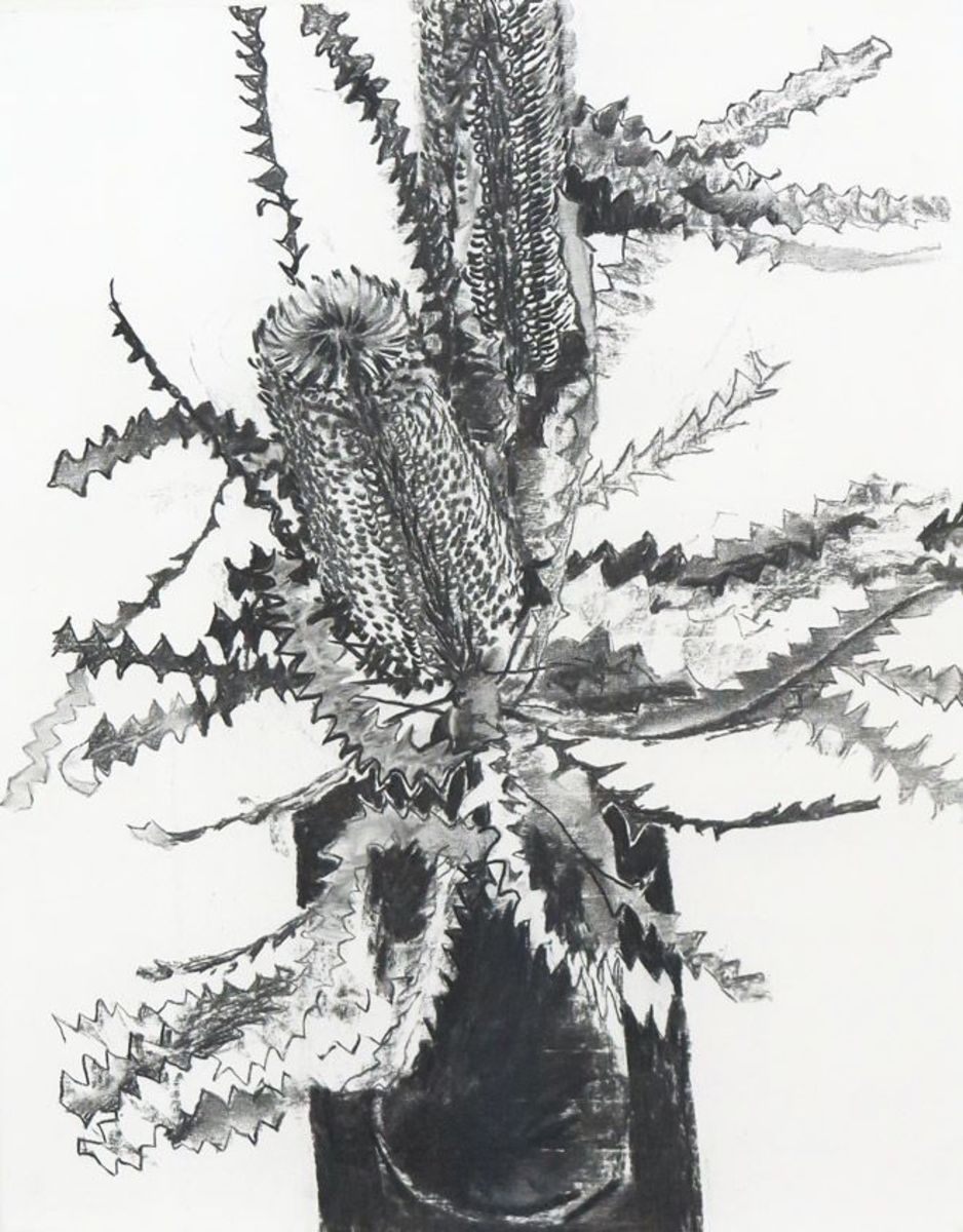 Banksia on black [Study]