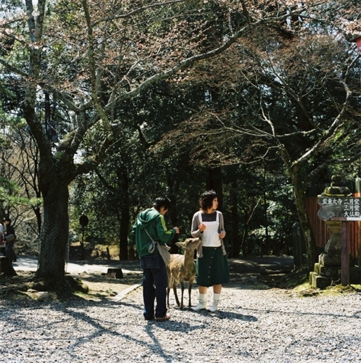 Young Couple with Deer, Nara