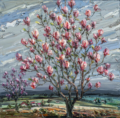 Magnolia with Field