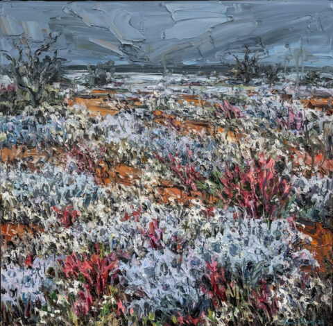 Wild Flowers with Red Land